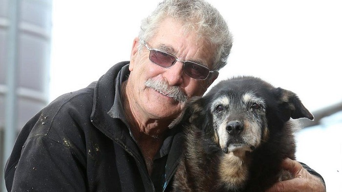 World`s `oldest dog` dies at 30 in Australia after going to sleep in her basket